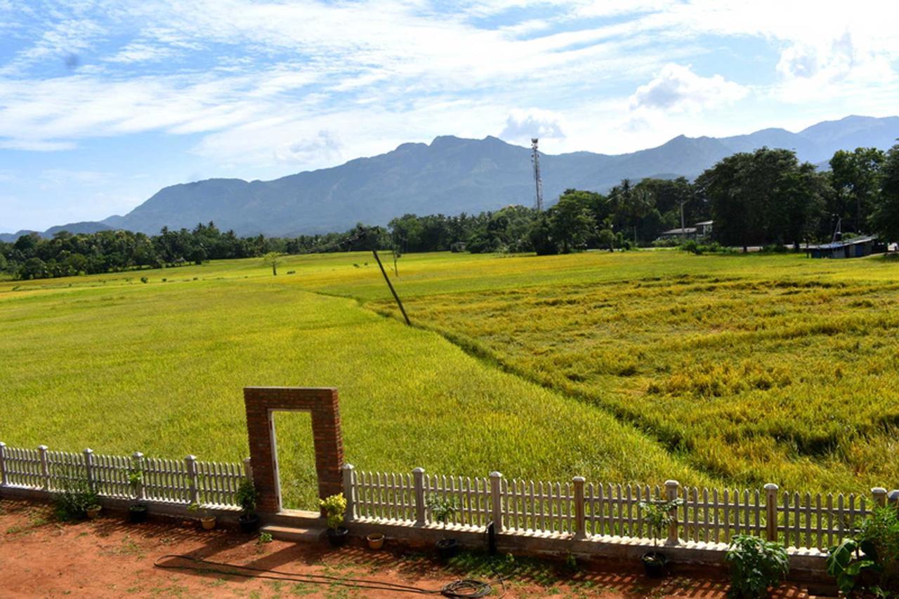 Green Heritage Holiday Resort Mahiyanganaya Kültér fotó